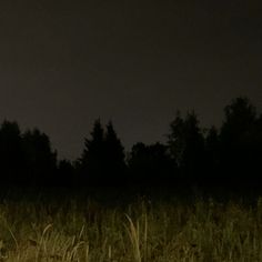 a field with tall grass and trees in the background at night time, lit up by street lights