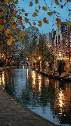 a river running through a city next to tall buildings and trees with leaves on them