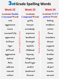 three different words that are in the same language, and one is for each word