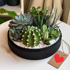 a potted plant sits on a table next to a tag with a red heart