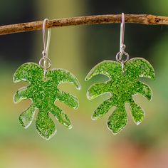 two green leaf shaped earrings hanging from a tree branch with water droplets on the leaves