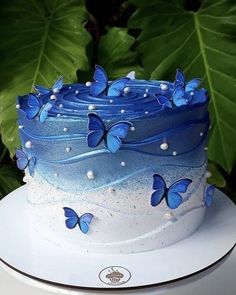 there is a blue and white cake with butterflies on it