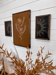 two framed pictures hang on the wall above a potted plant