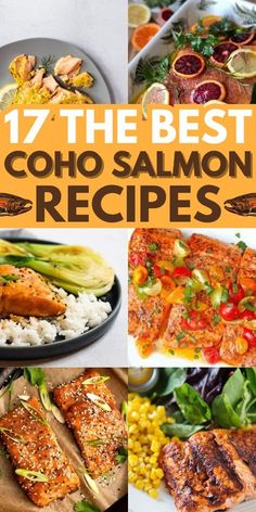 the 17 best coho salmon recipes