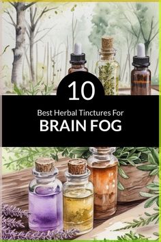 Peppermint tinctures helps with brain fog because of its ability to increase blood flow to the brain, thus improving cognitive function and mental clarity. The menthol content in peppermint also has a direct impact on the brain's neurotransmitters, particularly dopamine, which plays a crucial role in focus and concentration. Additionally, peppermint's calming effects can help reduce stress and anxiety, common causes of brain fog, allowing for a clearer and more focused mind...._ #BrainFog #BrainFogRemedies #mentalhealth #nootropics #BrainFogCure #BrainFogTreatment Peppermint Tincture, Herb Knowledge, Brain Fog Remedies, Plant Remedies, Herbs Medicinal, Herbal Education, Increase Blood Flow, Bacopa Monnieri, Holistic Recipes