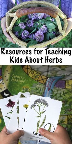 the hands are holding cards with flowers in them and text reads resources for teaching kids about herbs