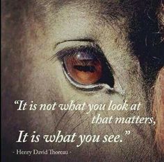 a horse's eye with the quote it is not what you look at that matters