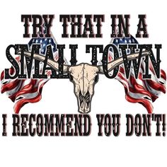 an american flag with the words try that in a small town i recommend you don't