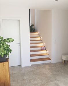 there is a plant and some lights on the stairs in this room with white walls