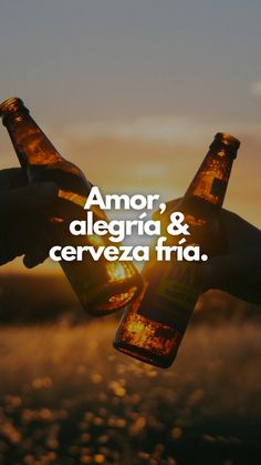 two people holding beer bottles in their hands with the sun setting behind them and an advertisement that reads, amo, alegria & cerveza fria