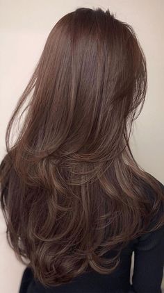 Layers And Color Hair, Brown Hair Colors And Styles, Brown Hair Colors Layers, Pretty Hair Layers, Brown Layer Hair, Curtain Band Layered Hair, Layers On Thinner Long Hair, Warmer Brown Hair, Layered Hair With Color