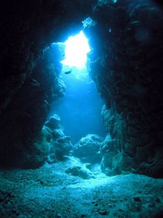 an underwater cave with sunlight coming through the water's entrance to the sea floor