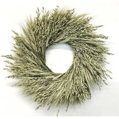 dried grass is shown on a white background