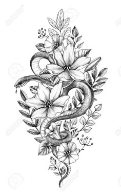 a snake and flowers tattoo design on a white background stock photo, images and royalty