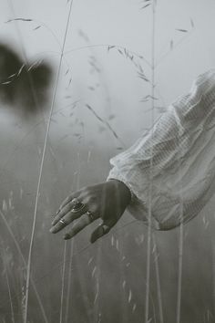 a woman's hand reaching for something in the air with her fingers on top of some tall grass