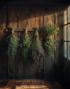 herbs hanging on a wooden wall with sunlight coming through the window