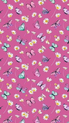 butterflies and daisies on a pink background