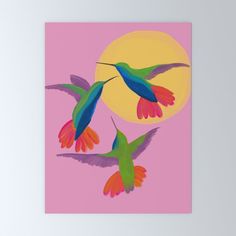 two colorful hummingbirds flying in front of the sun