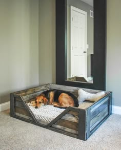 a dog bed with two dogs laying in it and the bottom half is open to show its