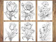 four different types of flowers are shown in black and white ink on paper, one is drawn