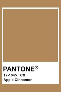 pantone's apple cinnamon color is shown with the text, 17 - 1045 tcx