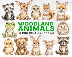 woodland animals cliparts for commercial use, including an image of a baby animal