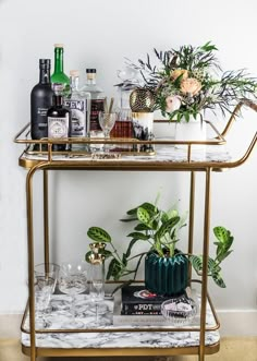 a bar cart filled with liquor bottles and glasses next to a potted plant on top of a marble counter