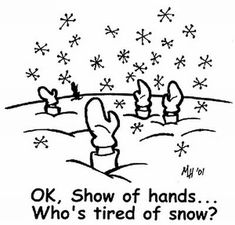 an image of snowflakes in the sky with a cartoon saying, ok, show of hands who's tired of snow?