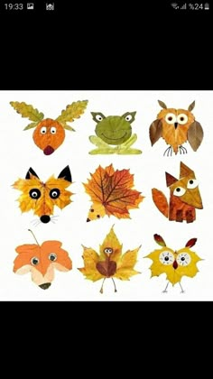 an image of different types of leaves and animals