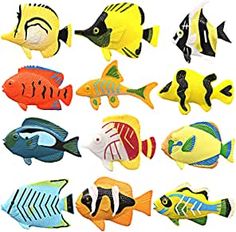 a bunch of different colored fish on a white background