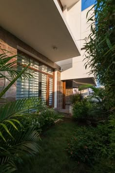 an outside view of a house with trees and plants