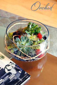 a glass bowl filled with succulents on top of a table next to a book