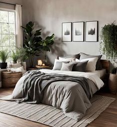 Calm Bedroom Colors, Bedroom Color Scheme Ideas, Bedding Colors, Bedroom Color Palette, Color Scheme Ideas, Green Wall Color, Beautiful Bedroom Colors, Cozy Bedrooms, Peaceful Bedroom