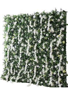 the wall is covered with white flowers and greenery