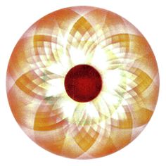 Navel Chakra | The Pranic Healers