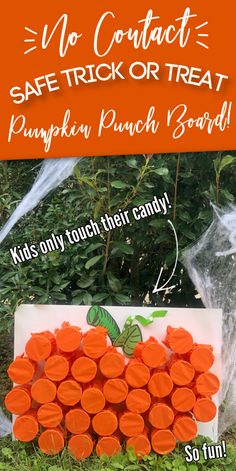 an orange trick or treat for kids to play with in the yard and on the lawn