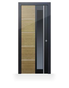 an image of a modern door with glass and wood paneling on the front side