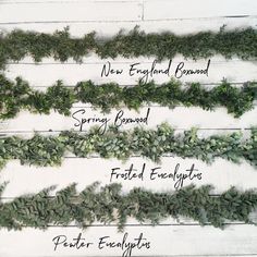 four different types of plants on a white wooden background with the words new england, spring, and frosted eucalyptus