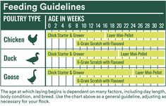 the feeding guidelines for poultry type and age in weeks