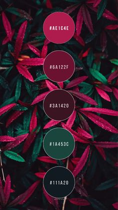 red and green leaves with text over them