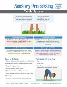 Occupational Therapy Infographic Sheets - Chicago Occupational Therapy Tactile Sensitivity Activities, Dir Floortime, Therapy Infographic, Sensory Processing Disorder Symptoms, Sensory Processing Activities, Sensory Integration Activities, Proprioceptive Activities, Occupational Therapy Schools, Infant Sensory