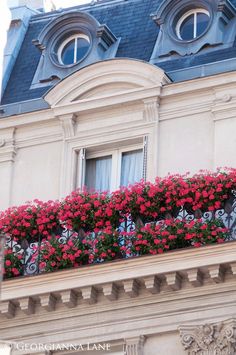 red flowers are blooming on the balcony of an apartment building in paris, france