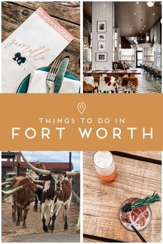 things to do in fort worth