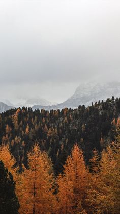 Sweater Weather Fall Autumn Aesthetic Vibes Granola Posters, Indie Pop Aesthetic, Indie Folk Aesthetic, The Moon Will Sing, Indie Folk Music, Folk Aesthetic, Fall Autumn Aesthetic, Always Forward, Coffee Halloween