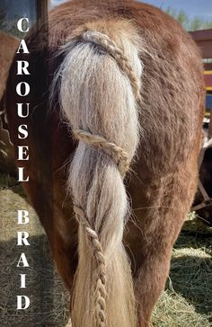 Here is another picture of a carousel braid. I love this braid! Horse Tail Braid, Tail Braids, Braided Hair Tutorial