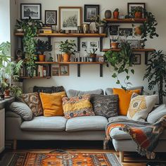 a living room filled with furniture and lots of plants on the shelves above it's couch