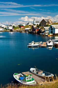 several boats are docked in the water near some houses and buildings on the other side of the lake