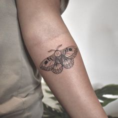 a small moth tattoo on the arm