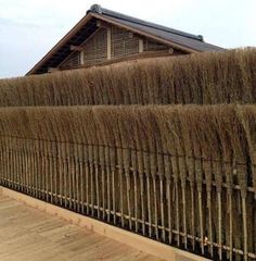 a wooden fence covered in lots of tall green plants next to a building with a shingled roof