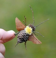 a hand holding a tiny insect with a yellow flower on it's back end